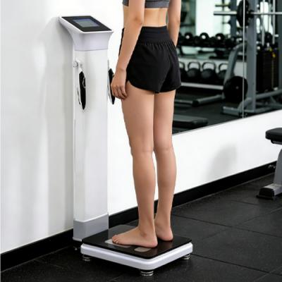 精准解析身体密码，科学护航健康管理——专业人体成分分析仪